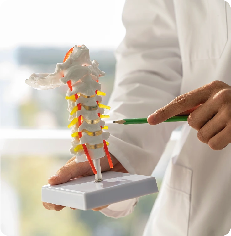 What to Expect During Your Appointment Back Pain Treatment Tampa, Florida Banner